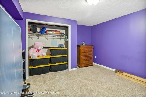 4955 E Dennis Rd, Webberville, MI 48892 photo 37