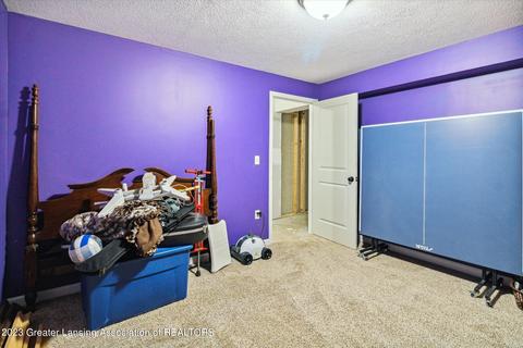 4955 E Dennis Rd, Webberville, MI 48892 photo 38