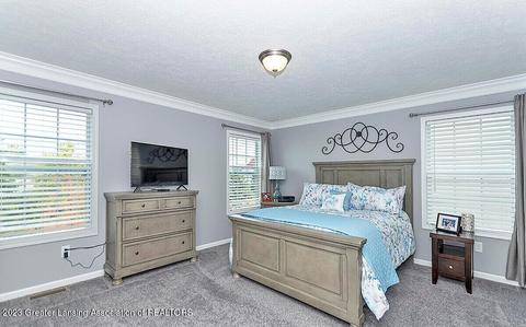 1208 Wineleaf Ln, Dewitt, MI 48820 photo 12
