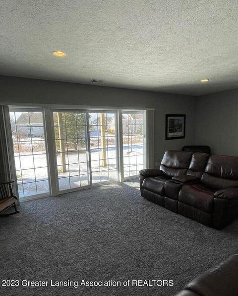 1208 Wineleaf Ln, Dewitt, MI 48820 photo 17