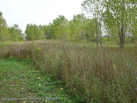 700 E Townsend Rd, Saint Johns, MI 48879 photo 2