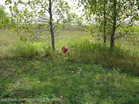 700 E Townsend Rd, Saint Johns, MI 48879 photo 3