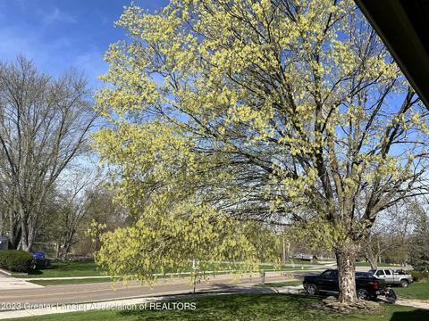 2314 Webster Rd, Lansing, MI 48917 photo 8