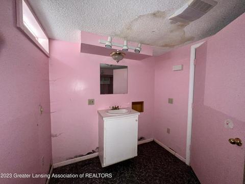 4123 Heathgate Dr, Lansing, MI 48911 photo 25