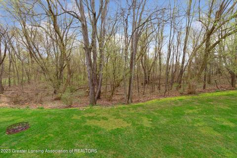 13265 Watercrest Dr, Dewitt, MI 48820 photo 50
