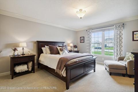 13265 Watercrest Dr, Dewitt, MI 48820 photo 22