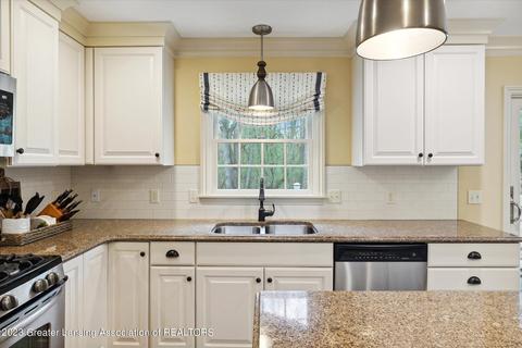 13265 Watercrest Dr, Dewitt, MI 48820 photo 19