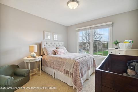 13265 Watercrest Dr, Dewitt, MI 48820 photo 28