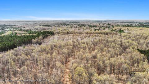6744 Piper Ln, Frederic, MI 49733 photo 8