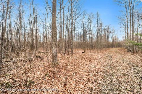 6744 Piper Ln, Frederic, MI 49733 photo 24