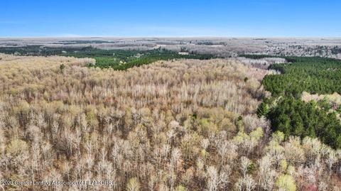 6744 Piper Ln, Frederic, MI 49733 photo 14