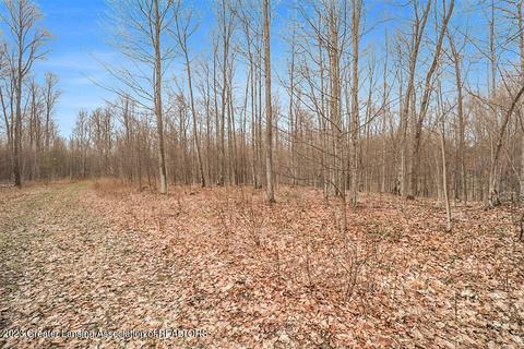 6744 Piper Ln, Frederic, MI 49733 photo 27