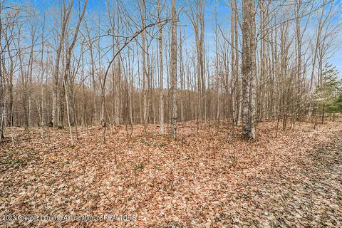 6744 Piper Ln, Frederic, MI 49733 photo 34