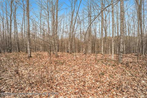 6744 Piper Ln, Frederic, MI 49733 photo 35