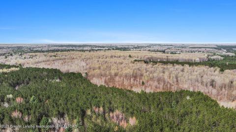 6744 Piper Ln, Frederic, MI 49733 photo 6