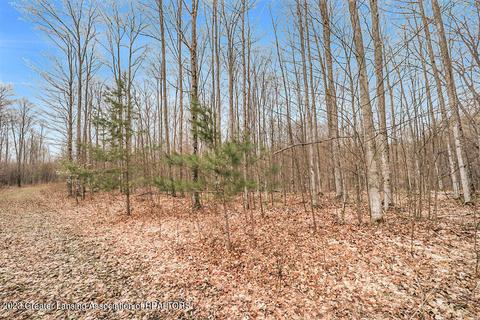 6744 Piper Ln, Frederic, MI 49733 photo 22