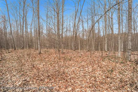 6744 Piper Ln, Frederic, MI 49733 photo 26