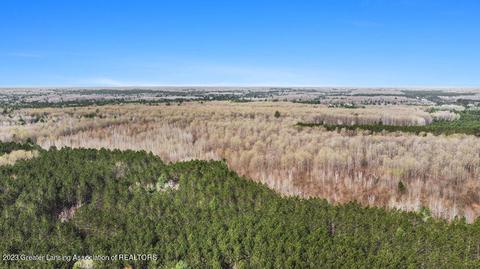 6744 Piper Ln, Frederic, MI 49733 photo 7