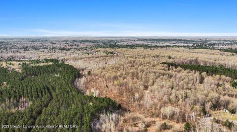 6744 Piper Ln, Frederic, MI 49733 photo 4