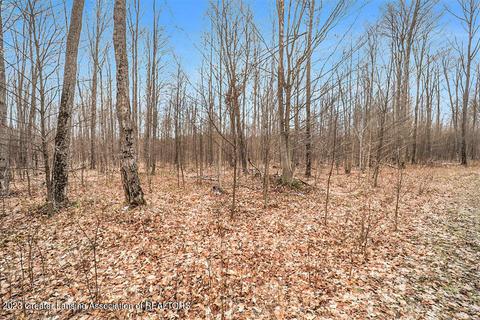 6744 Piper Ln, Frederic, MI 49733 photo 30