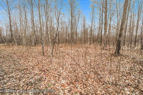 6744 Piper Ln, Frederic, MI 49733 photo 33