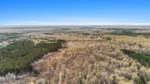 6744 Piper Ln, Frederic, MI 49733