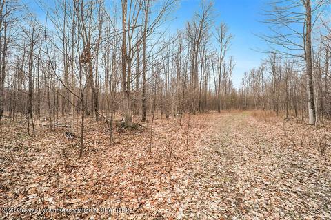 6744 Piper Ln, Frederic, MI 49733 photo 29