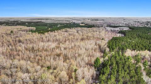 6744 Piper Ln, Frederic, MI 49733 photo 15