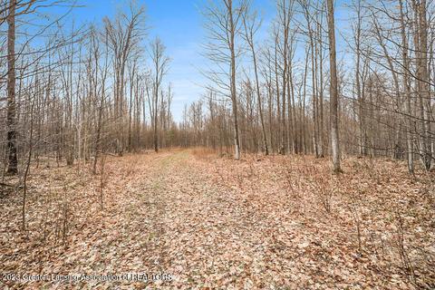 6744 Piper Ln, Frederic, MI 49733 photo 28