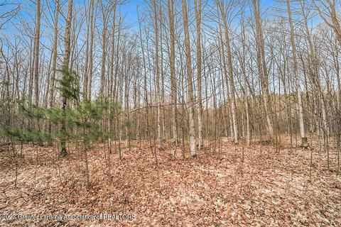 6744 Piper Ln, Frederic, MI 49733 photo 21