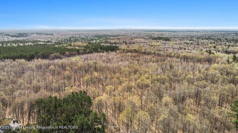 6744 Piper Ln, Frederic, MI 49733 photo 11