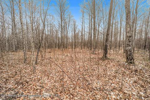 6744 Piper Ln, Frederic, MI 49733 photo 32