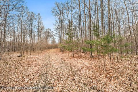 6744 Piper Ln, Frederic, MI 49733 photo 23