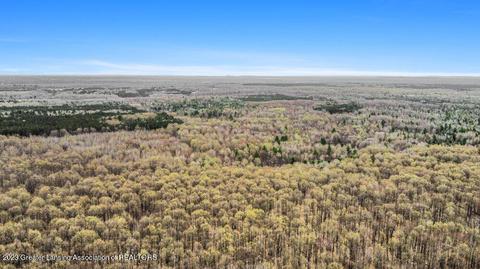 6744 Piper Ln, Frederic, MI 49733 photo 19