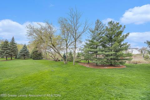 11810 Silverspring Dr, Dewitt, MI 48820 photo 51