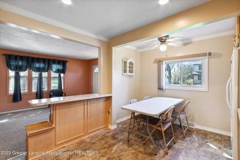 311 E Madison St, Dewitt, MI 48820 photo 12