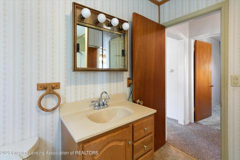 311 E Madison St, Dewitt, MI 48820 photo 20