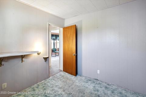 311 E Madison St, Dewitt, MI 48820 photo 19