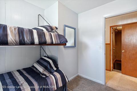 311 E Madison St, Dewitt, MI 48820 photo 23