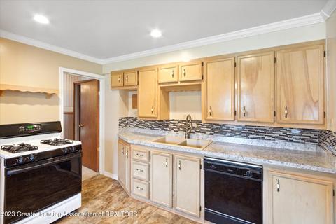 311 E Madison St, Dewitt, MI 48820 photo 9