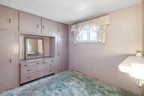 311 E Madison St, Dewitt, MI 48820 photo 18