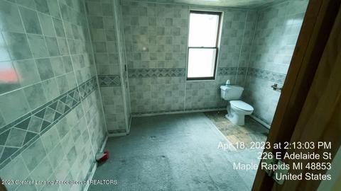 226 E Adelaide St, Maple Rapids, MI 48853 photo 12