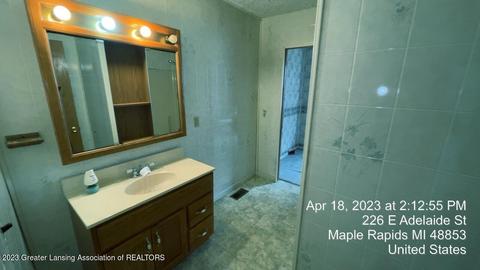 226 E Adelaide St, Maple Rapids, MI 48853 photo 11
