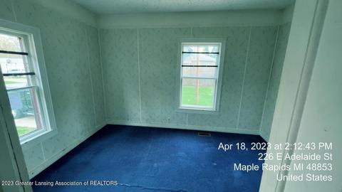 226 E Adelaide St, Maple Rapids, MI 48853 photo 10