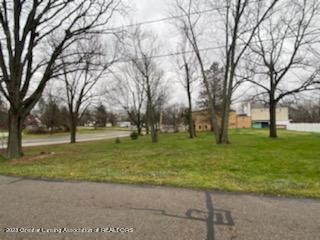 15966 Brook Rd, Lansing, MI 48906 photo 19