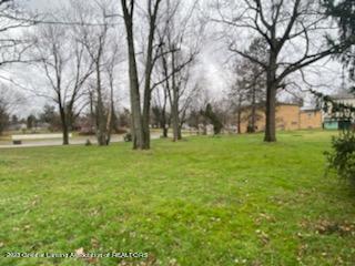 15966 Brook Rd, Lansing, MI 48906 photo 18