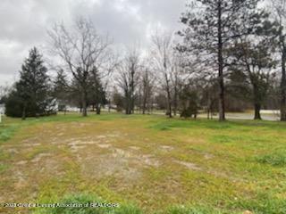 15966 Brook Rd, Lansing, MI 48906 photo 16