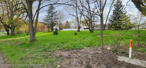15966 Brook Rd, Lansing, MI 48906 photo 6