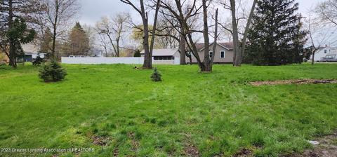 15966 Brook Rd, Lansing, MI 48906 photo 8