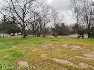 15966 Brook Rd, Lansing, MI 48906 photo 17